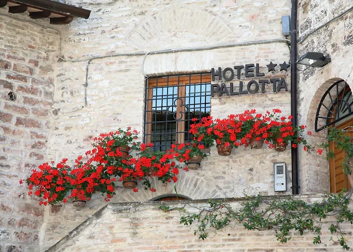 Hotel Pallotta
